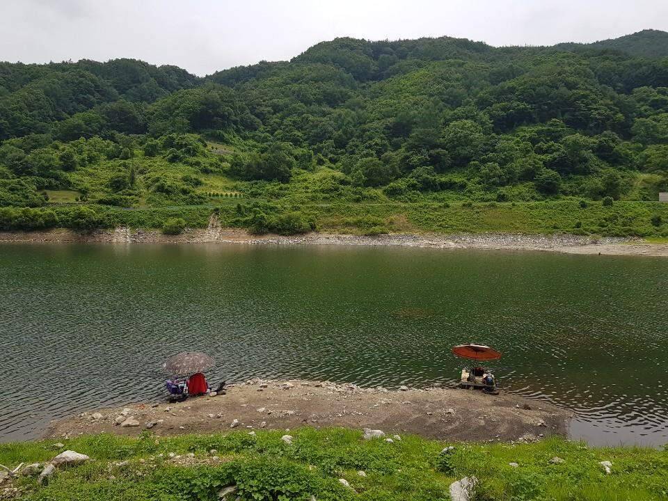 먹개비의 낚시 투어 98탄경북에서 전라도로 정출 (조황조행기 - 화보조행기)