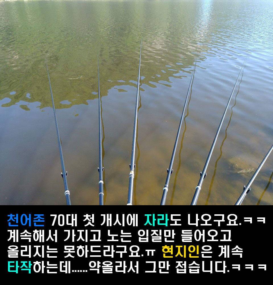 이장의 강호지락 세종 금강 조업편 (조황조행기 - 화보조행기)