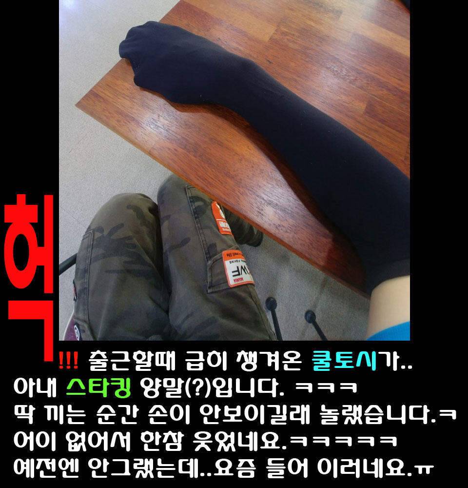 이장의 강호지락 세종 금강 조업편 (조황조행기 - 화보조행기)