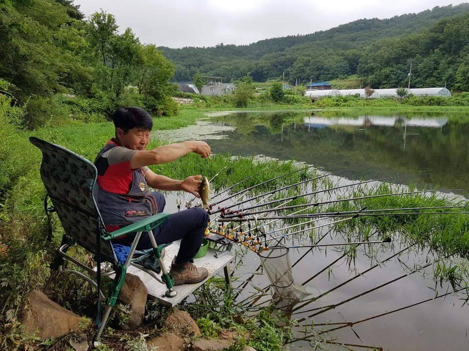 먹개비의 낚시 투어 99탄 낮낚시 정출에 마리수 대박 (조황조행기 - 화보조행기)