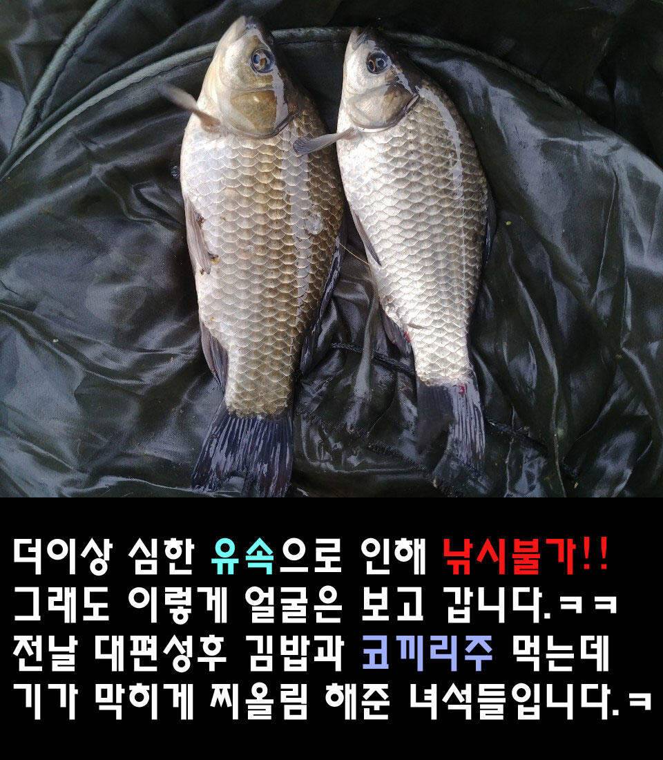두계천 조업 2편 (조황조행기 - 화보조행기)