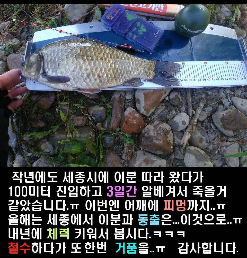 이장의 강호지락 세종 금강 조업편 (조황조행기 - 화보조행기)