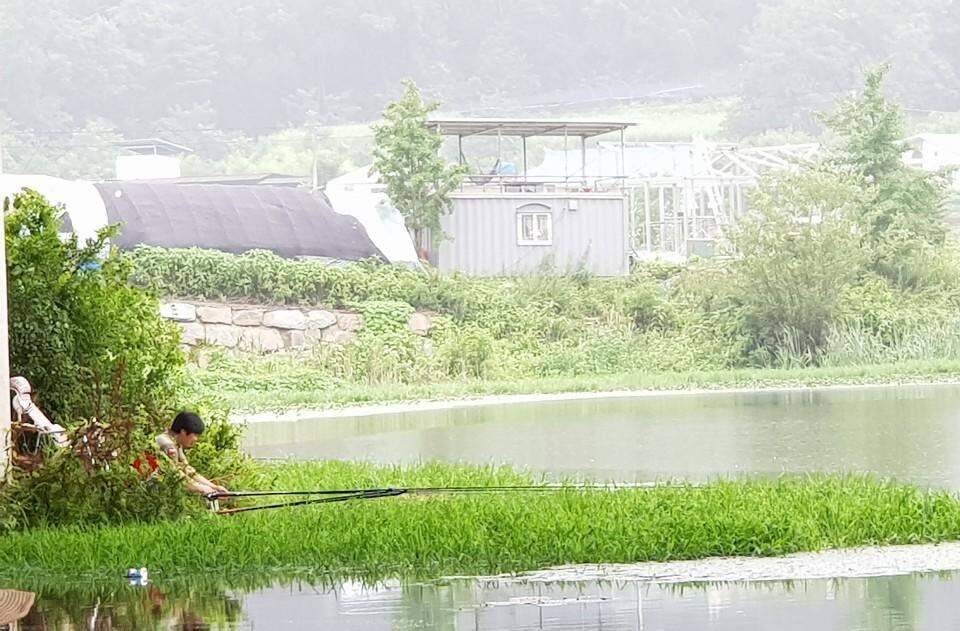 먹개비의 낚시 투어 99탄 낮낚시 정출에 마리수 대박 (조황조행기 - 화보조행기)