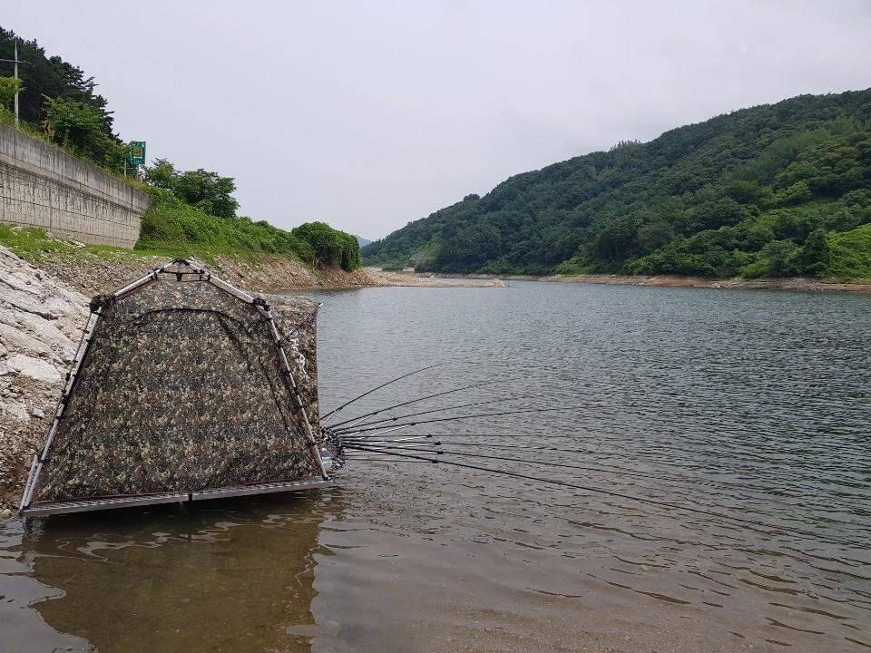 먹개비의 낚시 투어 98탄경북에서 전라도로 정출 (조황조행기 - 화보조행기)