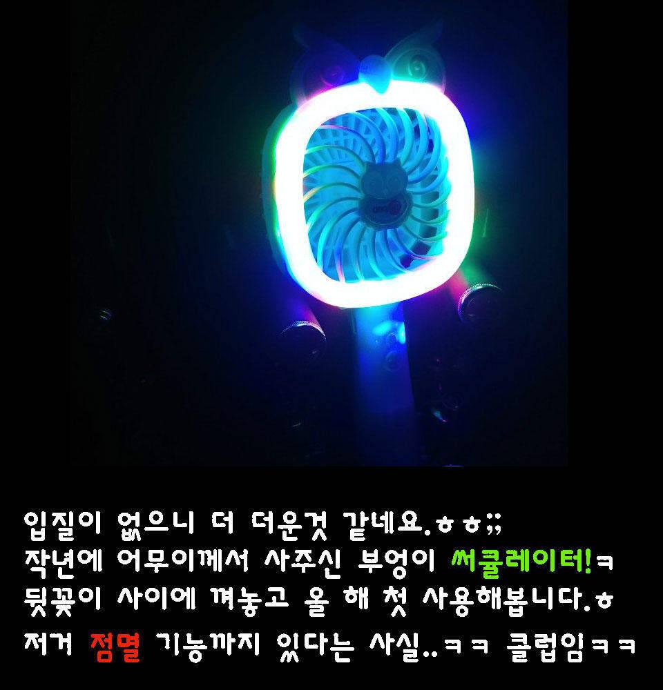 이장의 강호지락 화산천 조업편 (조황조행기 - 화보조행기)