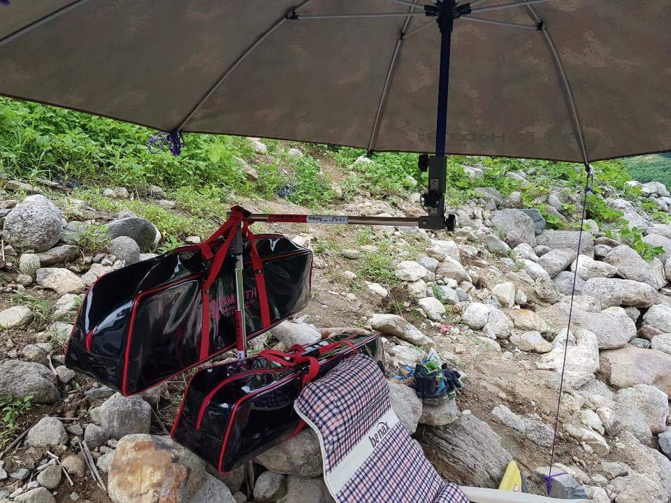 먹개비의 낚시 투어 98탄경북에서 전라도로 정출 (조황조행기 - 화보조행기)