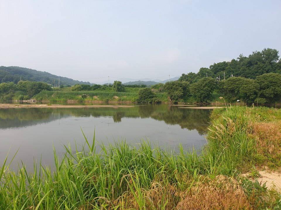 먹개비의 낚시 투어 95탄 용띠들 뭉쳐봅니다 (조황조행기 - 화보조행기)