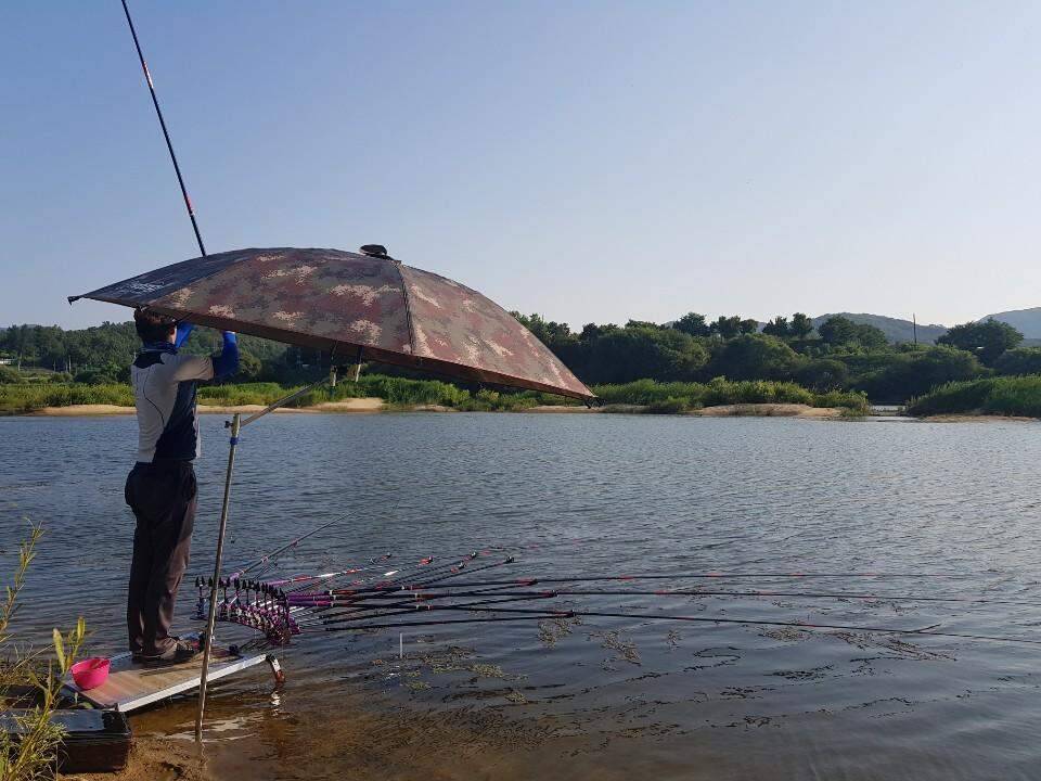 먹개비의 낚시 투어 97탄 3주 연속 같은곳 다른 자리 (조황조행기 - 화보조행기)