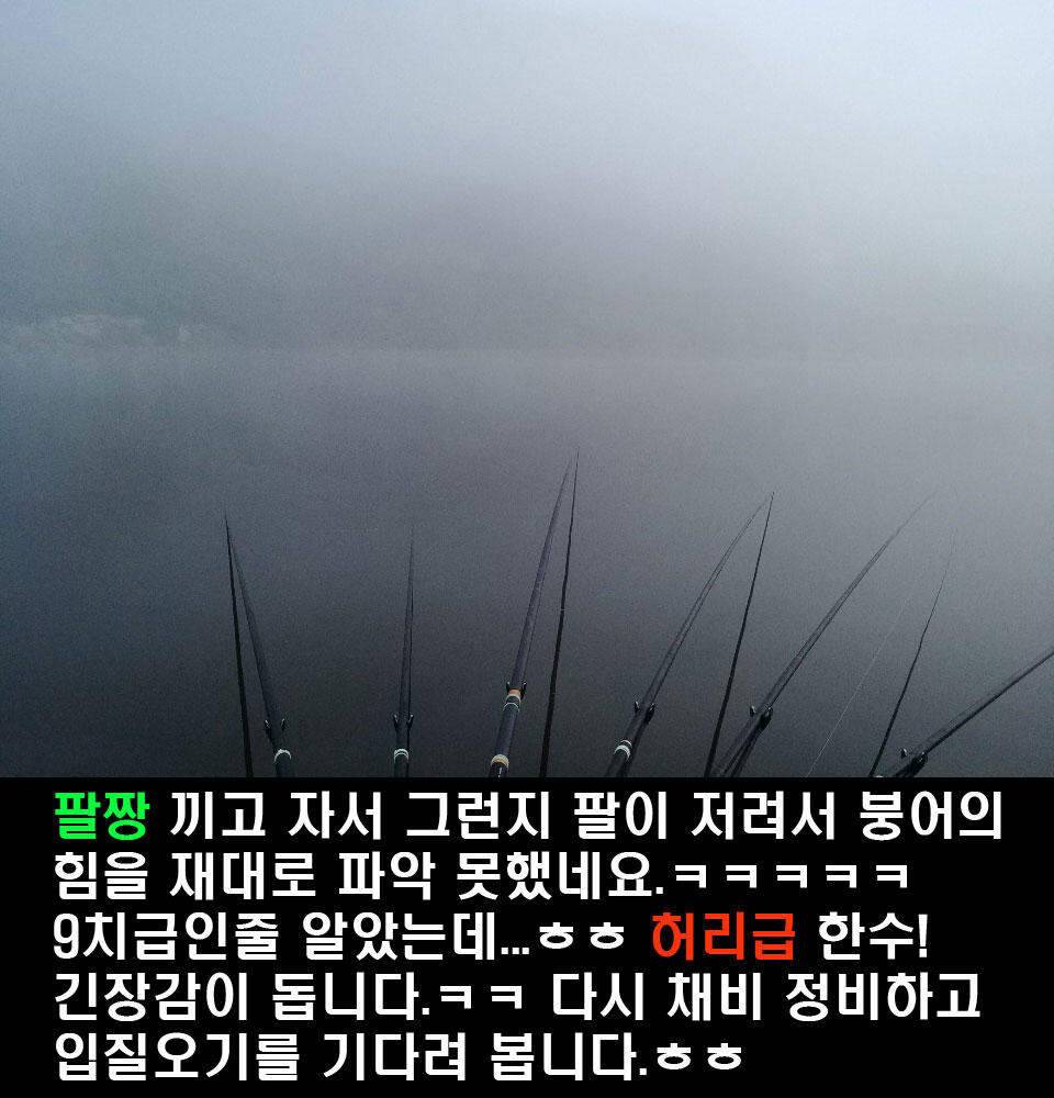 이장의 강호지락 세종 금강 조업편 (조황조행기 - 화보조행기)