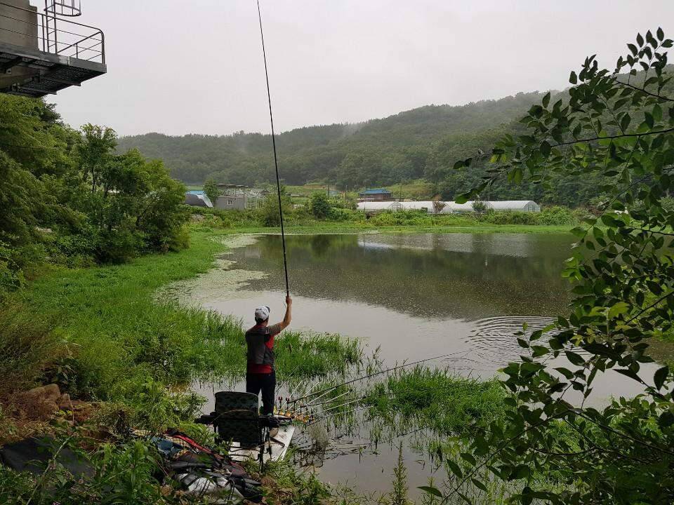 먹개비의 낚시 투어 99탄 낮낚시 정출에 마리수 대박 (조황조행기 - 화보조행기)