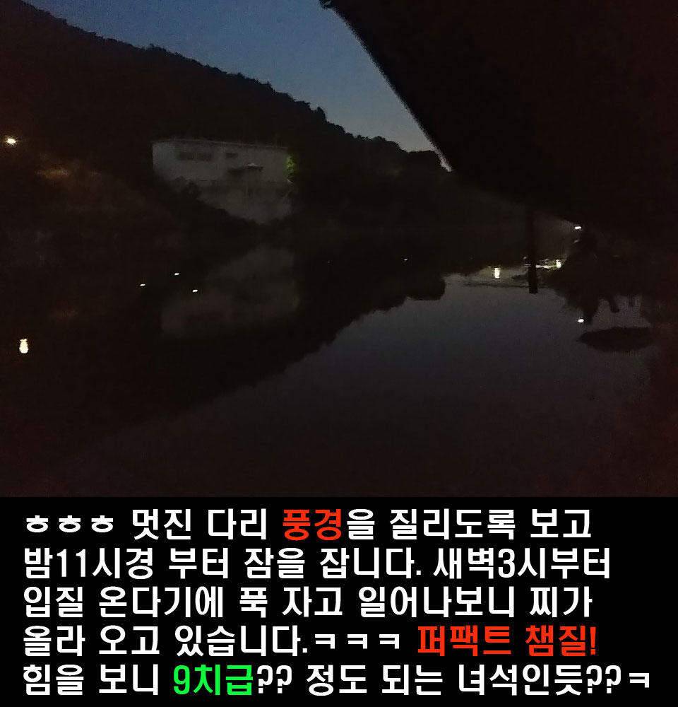 이장의 강호지락 세종 금강 조업편 (조황조행기 - 화보조행기)