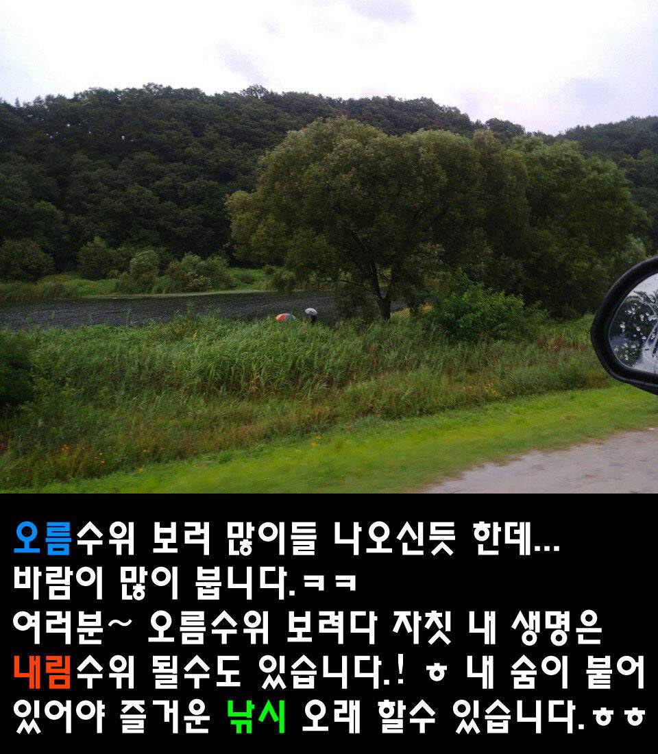두계천 조업 2편 (조황조행기 - 화보조행기)