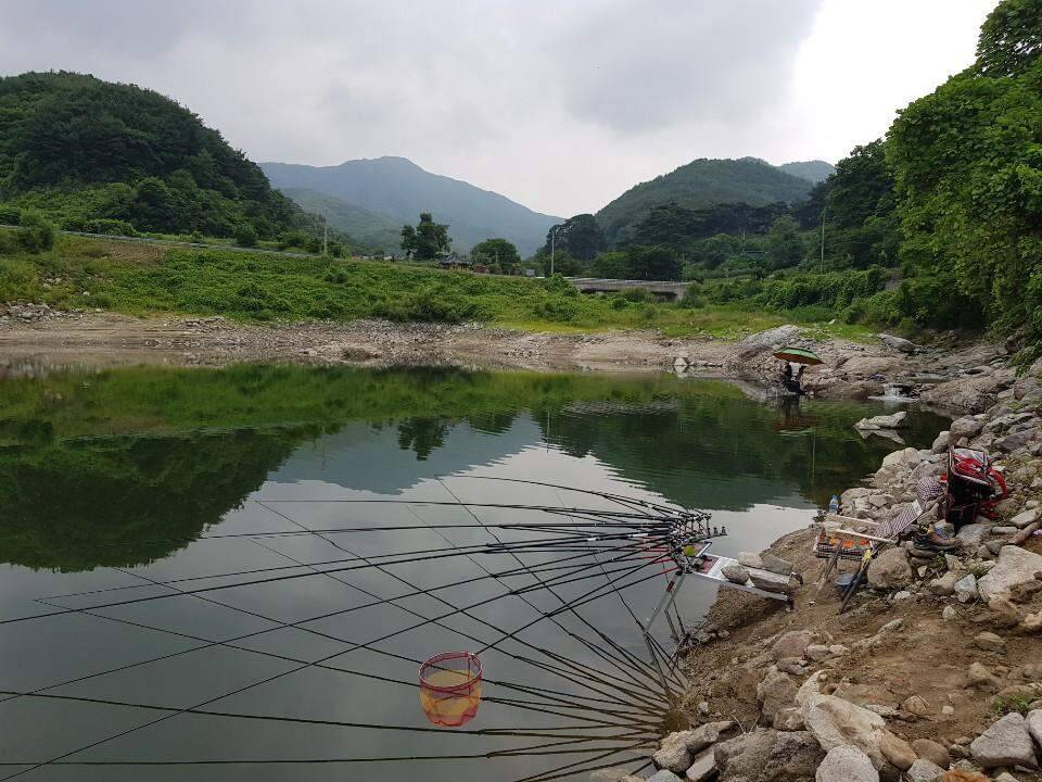 먹개비의 낚시 투어 98탄경북에서 전라도로 정출 (조황조행기 - 화보조행기)