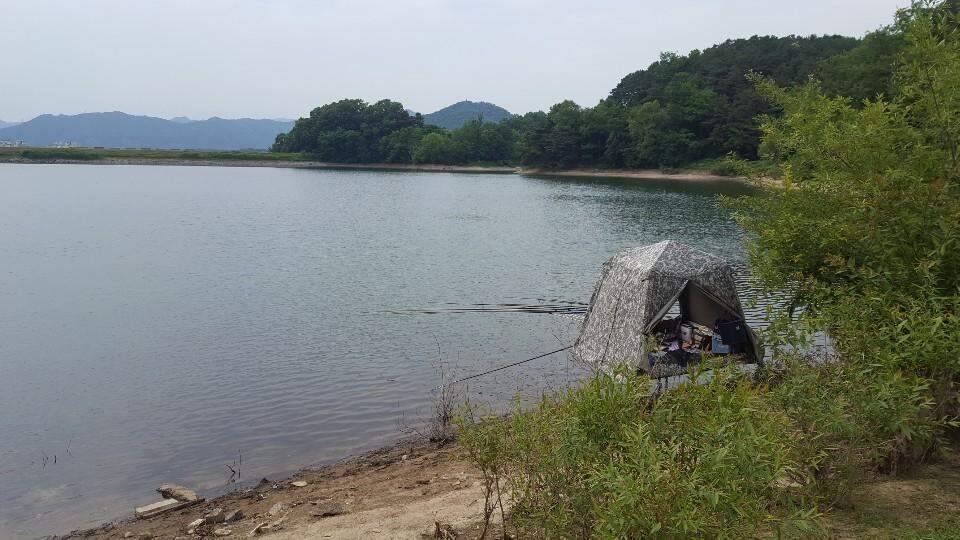 강원도 리벤지 (조황조행기 - 화보조행기)