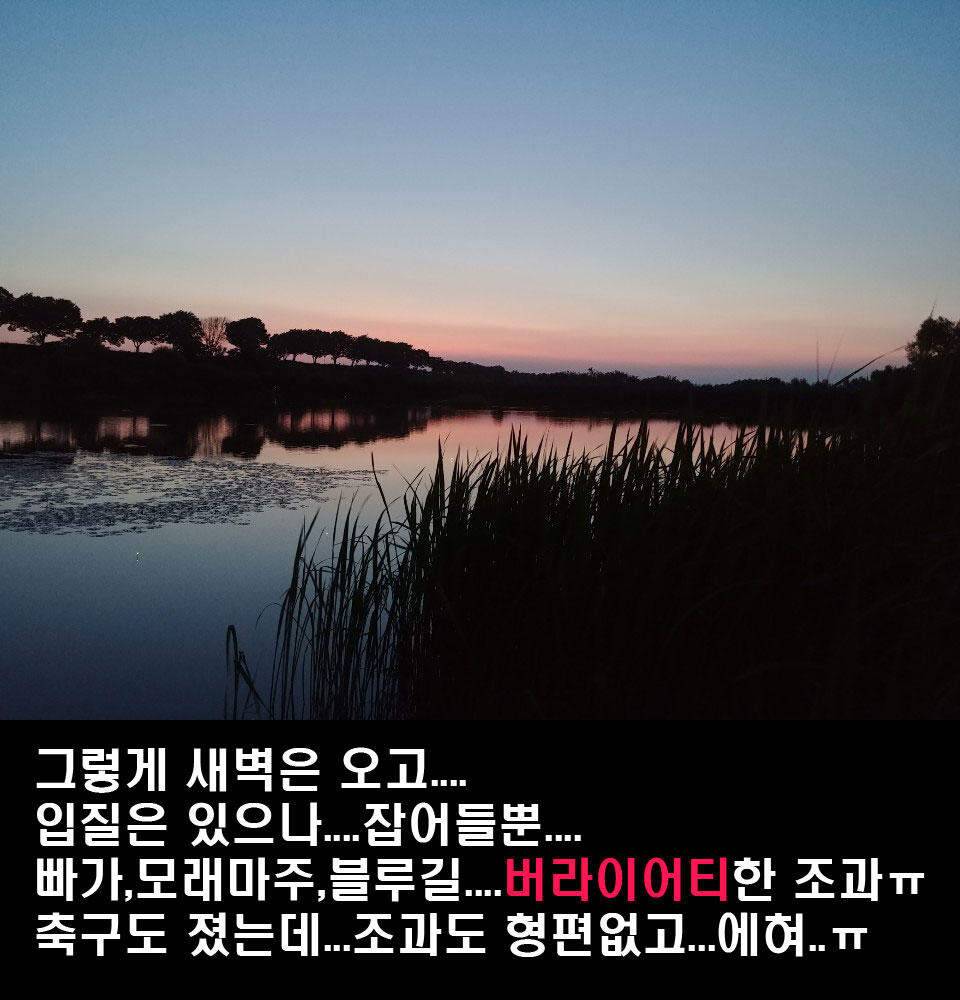 이장의 강호지락 청주 및 논산 짧은 조업편 (조황조행기 - 화보조행기)