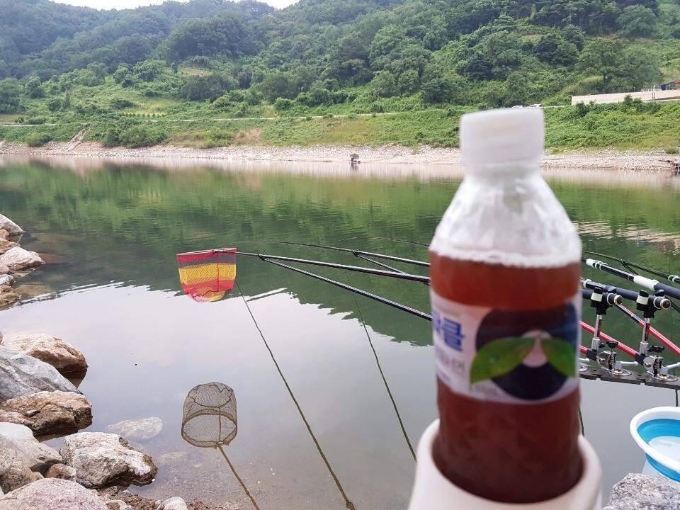 먹개비의 낚시 투어 98탄경북에서 전라도로 정출 (조황조행기 - 화보조행기)