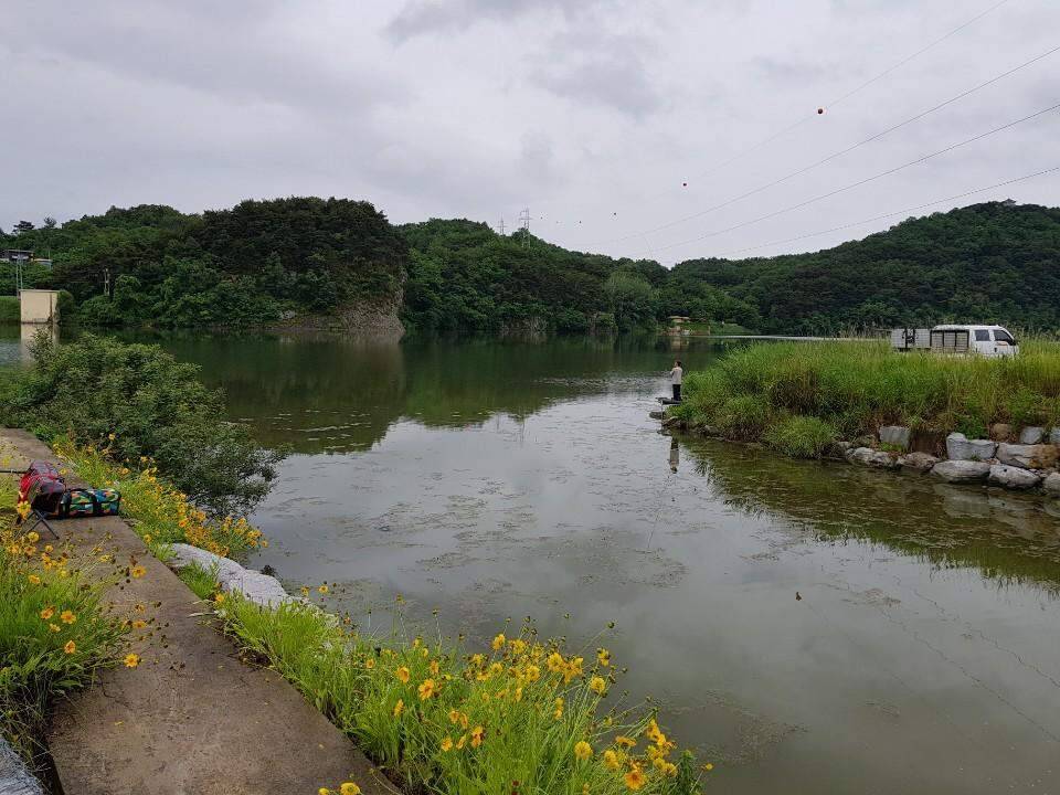 먹개비의 낚시 투어 94탄 멤버들과 상주권 낙동강 도전 (조황조행기 - 화보조행기)