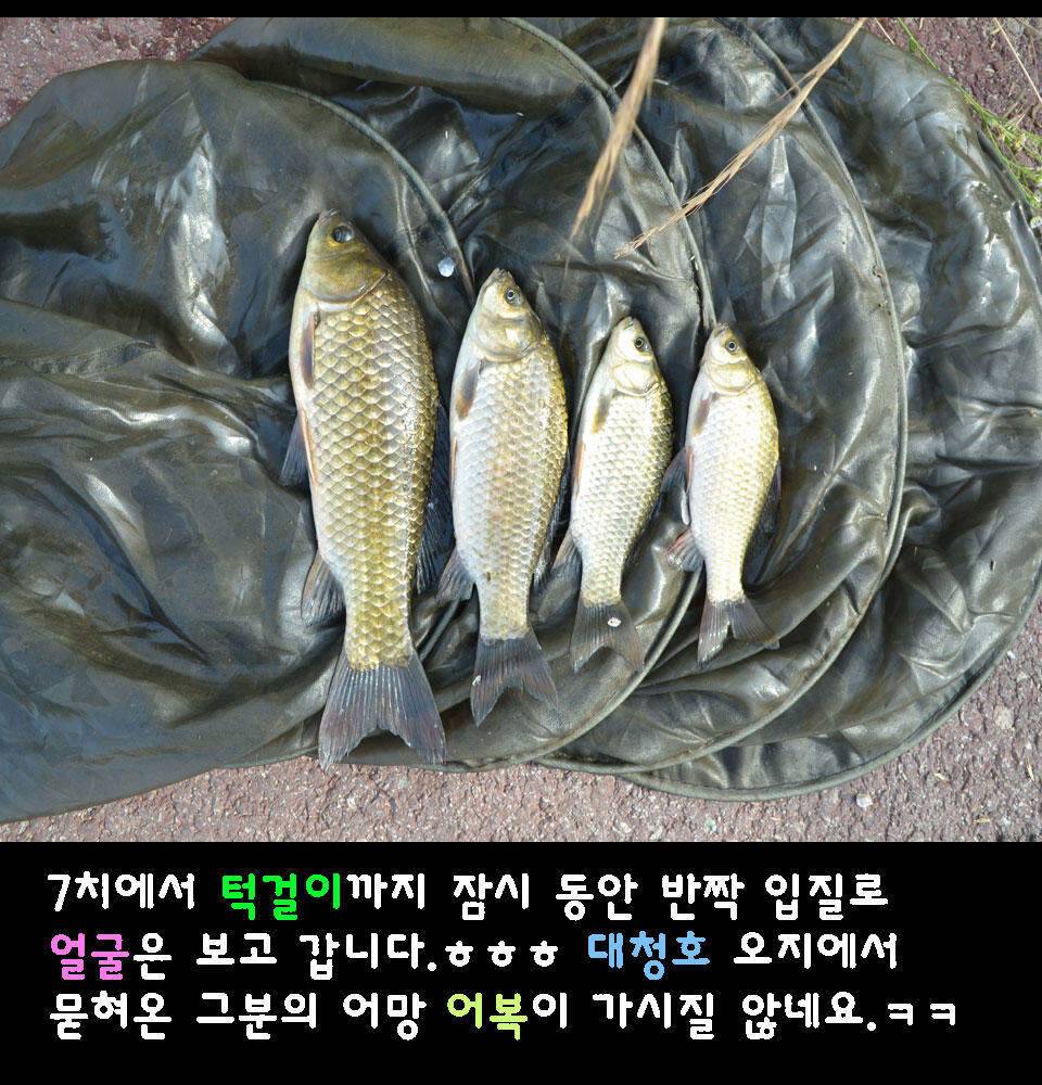 이장의 강호지락 화산천 조업편 (조황조행기 - 화보조행기)