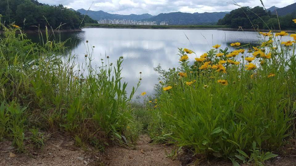 강원도 리벤지 (조황조행기 - 화보조행기)