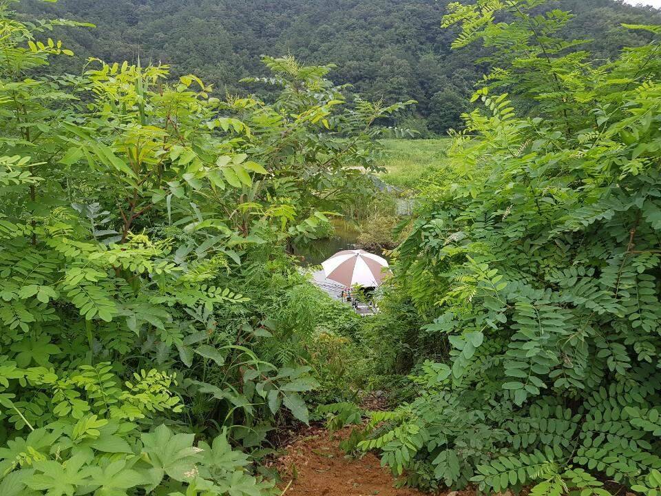 먹개비의 낚시 투어 100탄 미지의 장소에서 즐낚 (조황조행기 - 화보조행기)