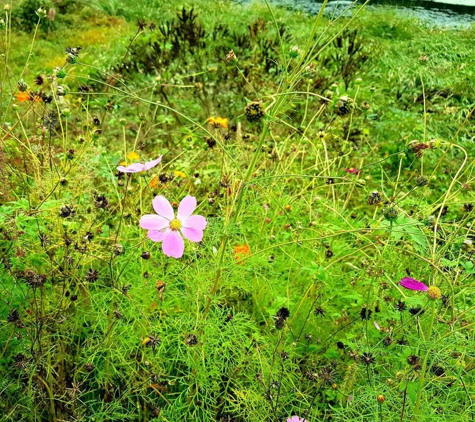 먹개비의 낚시 투어 19탄지인들과 뜻밖의 장소에서 대박 (조황조행기 - 화보조행기)