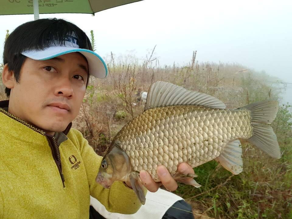 먹개비의 낚시투어 17탄멋쟁이 형님과 동출 (조황조행기 - 화보조행기)