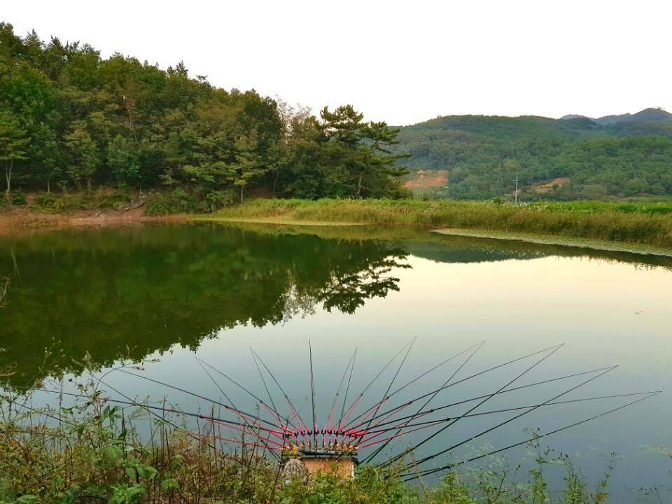 먹개비의 낚시 투어 18탄사랑하는 동생들과 의리로 만나 친구들 (조황조행기 - 화보조행기)