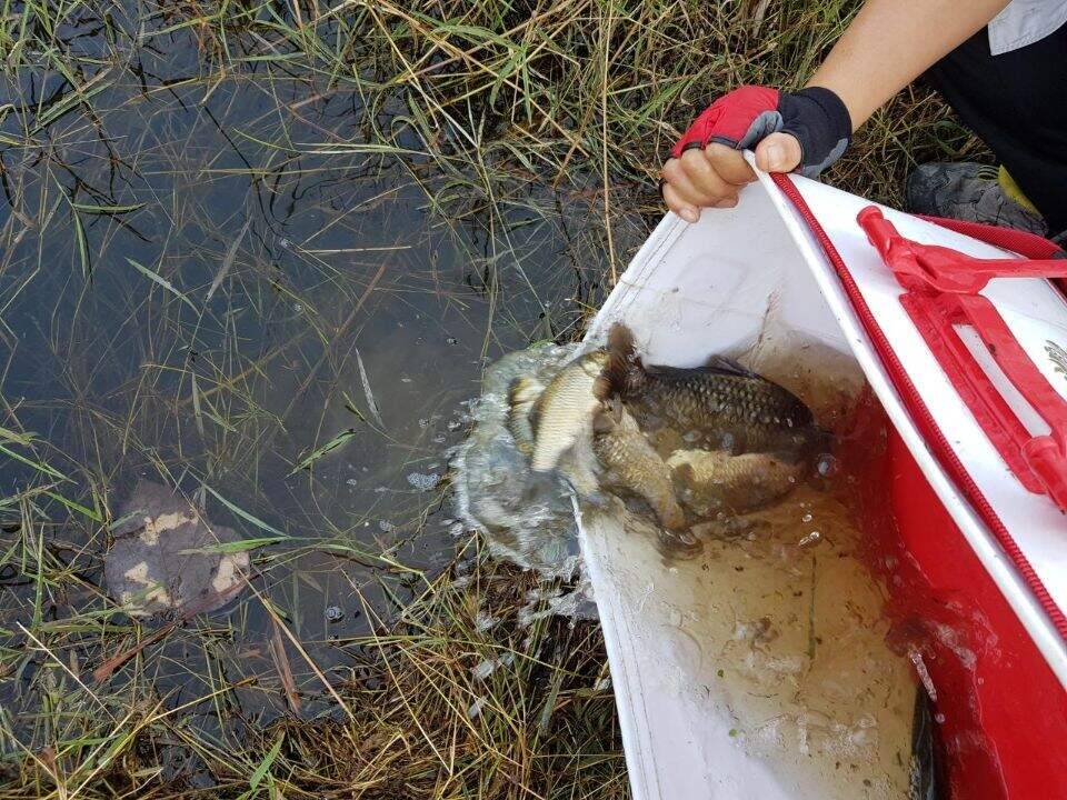 먼길을 돌고 돌아 (조황조행기 - 화보조행기)