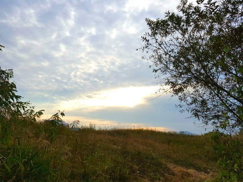 먹개비의 낚시 투어 20탄끈끈한 정으로 함께하는 조우들과 함께 (조황조행기 - 화보조행기)