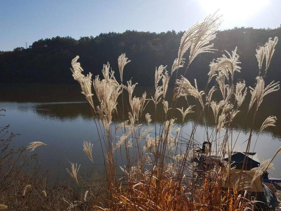 한해를 마무리 하는 길목에서 (조황조행기 - 화보조행기)
