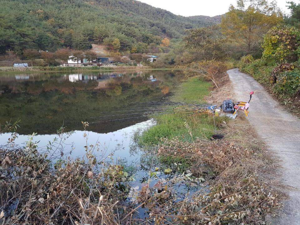 먼길을 돌고 돌아 (조황조행기 - 화보조행기)