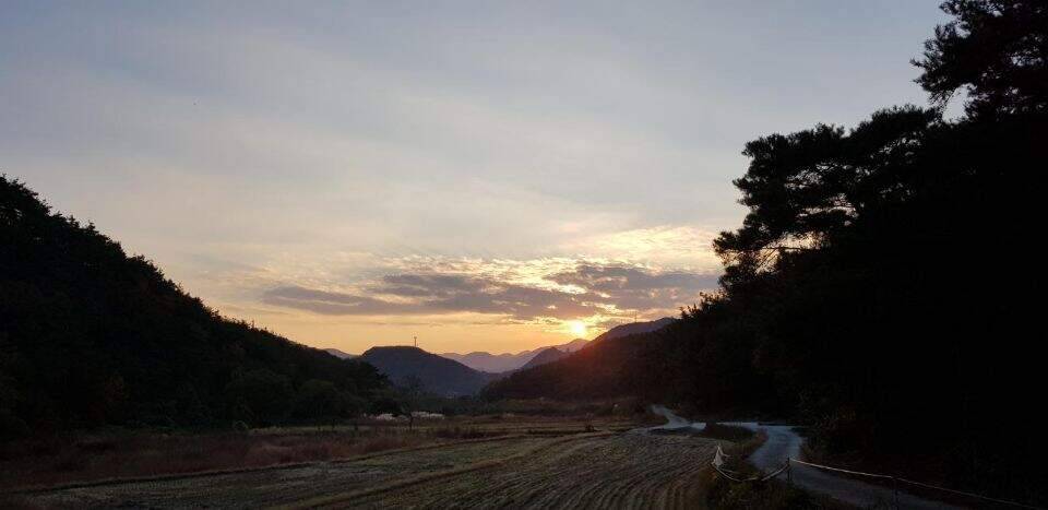 먼길을 돌고 돌아 (조황조행기 - 화보조행기)