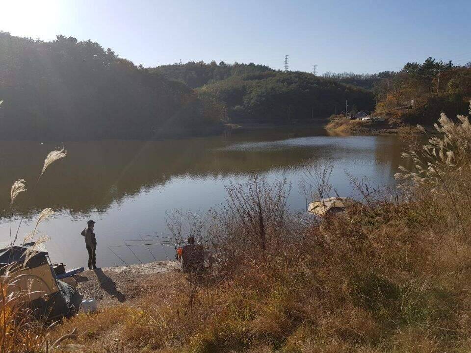 한해를 마무리 하는 길목에서 (조황조행기 - 화보조행기)