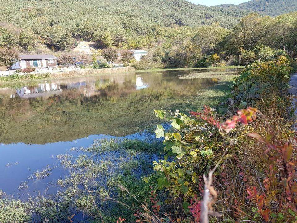 먼길을 돌고 돌아 (조황조행기 - 화보조행기)
