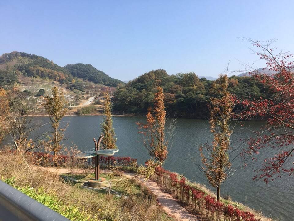 마지막이 될뻔한 (조황조행기 - 화보조행기)