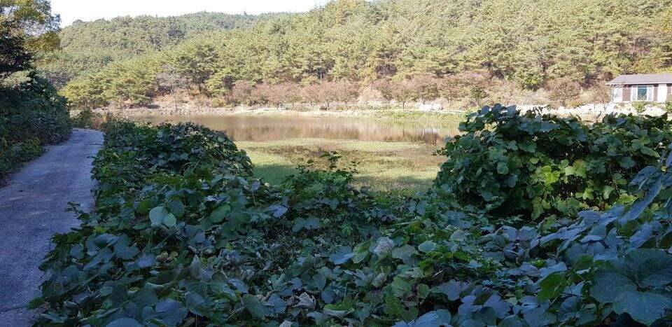 먼길을 돌고 돌아 (조황조행기 - 화보조행기)