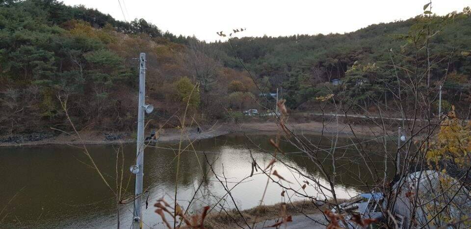 초겨울을 맞이하면서 (조황조행기 - 화보조행기)