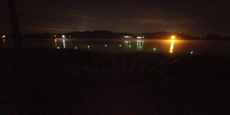 붕어 관을 뜨다 (조황조행기 - 화보조행기)