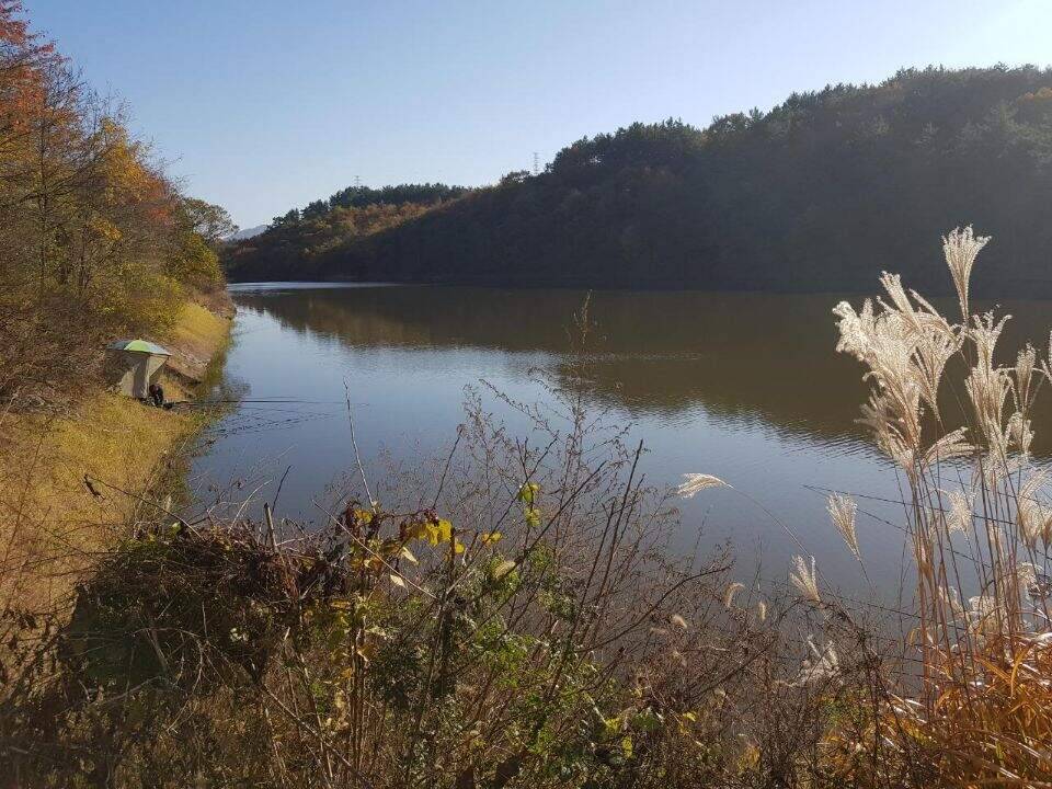한해를 마무리 하는 길목에서 (조황조행기 - 화보조행기)