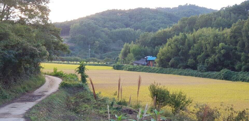 멋진 계곡지에서 (조황조행기 - 화보조행기)