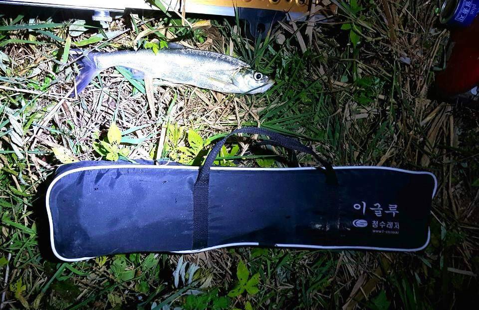먹개비의 낚시 투어 20탄끈끈한 정으로 함께하는 조우들과 함께 (조황조행기 - 화보조행기)