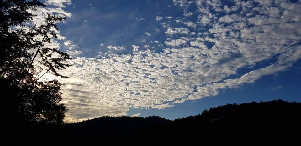 멋진 계곡지에서 (조황조행기 - 화보조행기)