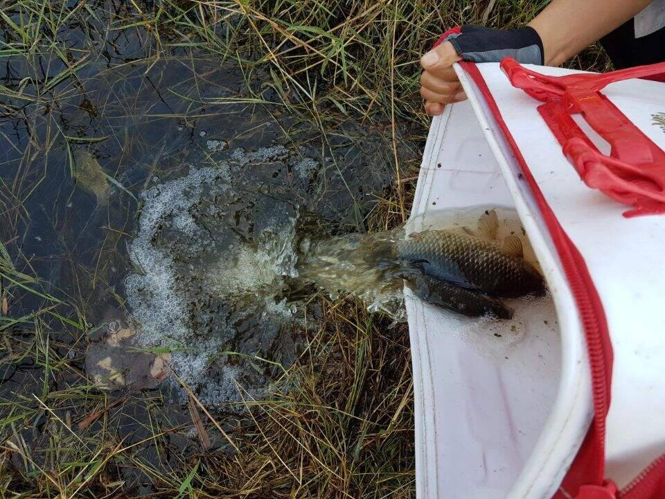 먼길을 돌고 돌아 (조황조행기 - 화보조행기)
