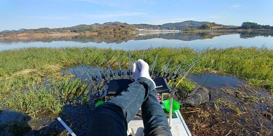 붕어 관을 뜨다 (조황조행기 - 화보조행기)