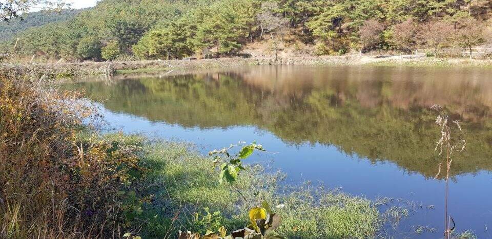 먼길을 돌고 돌아 (조황조행기 - 화보조행기)
