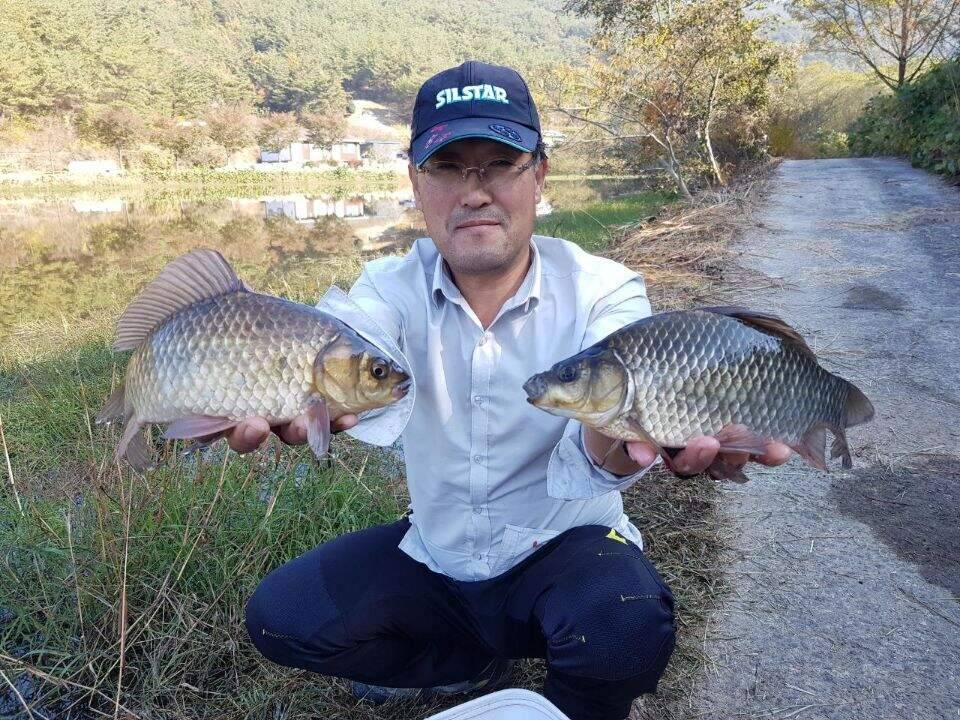 먼길을 돌고 돌아 (조황조행기 - 화보조행기)