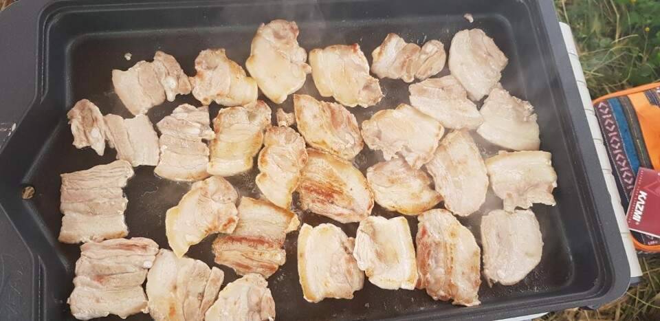 영산 외래어종터에서 (조황조행기 - 화보조행기)