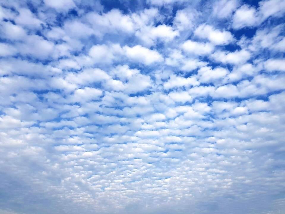 먹개비의 낚시 투어 20탄끈끈한 정으로 함께하는 조우들과 함께 (조황조행기 - 화보조행기)