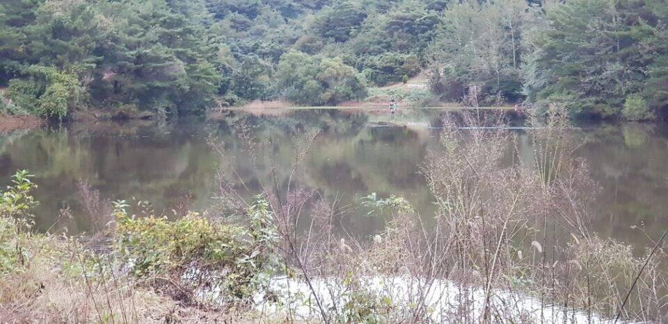 멋진 계곡지에서 (조황조행기 - 화보조행기)