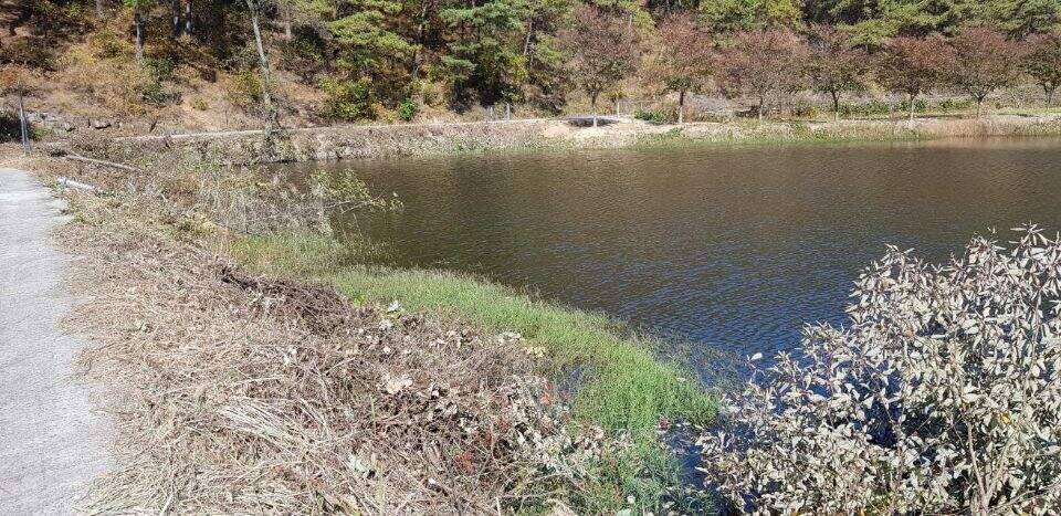 먼길을 돌고 돌아 (조황조행기 - 화보조행기)